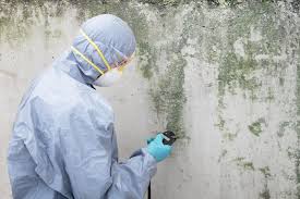 Best Mold Prevention Services in Sconsin Rapids, WI